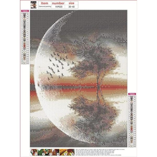 Kits de pintura de diamantes 5D para adultos completo