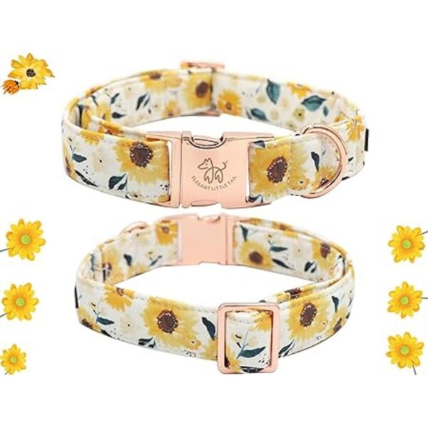 Elegant little tail Collar ajustable con corbatín para