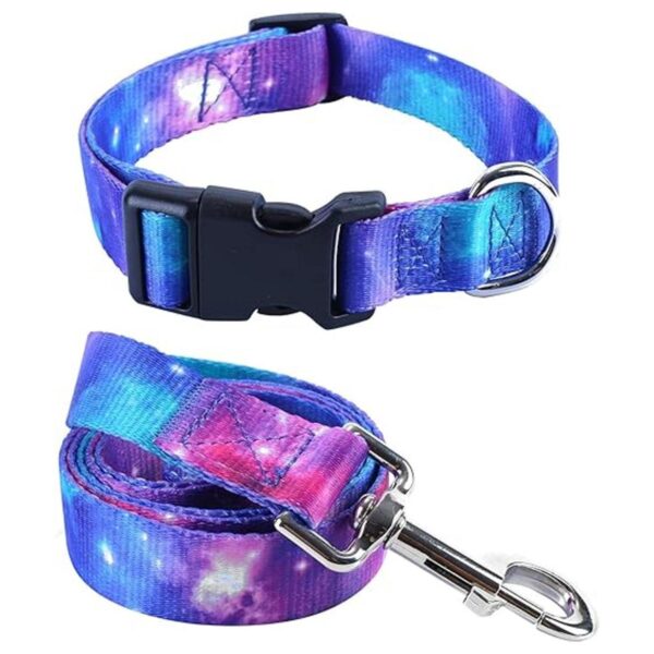 Impoosy Juego de 2 collares de perro y correa de galaxia