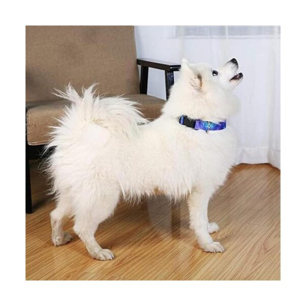 Impoosy Juego de 2 collares de perro y correa de galaxia