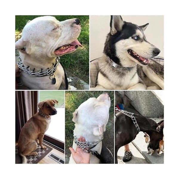 Collar de punta para perro collar de pinza para perro con