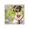 JpGdn 8 piezas de collar de perro flores lazos grandes