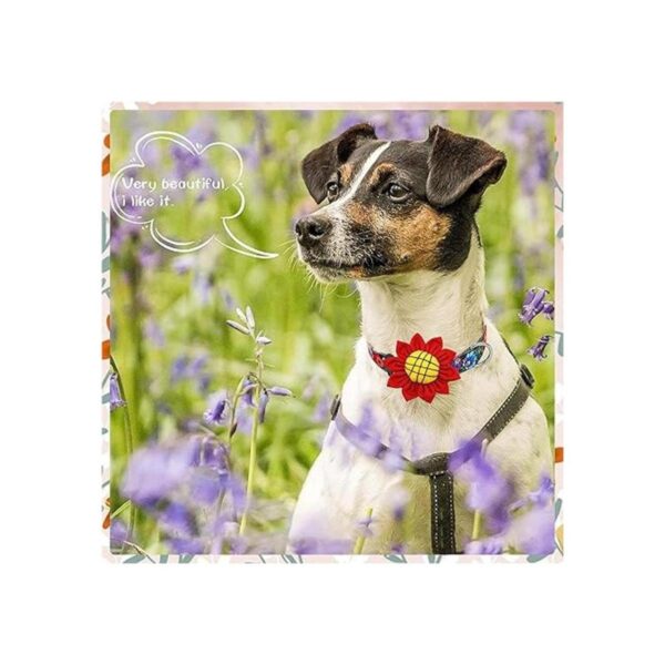 JpGdn 8 piezas de collar de perro flores lazos grandes
