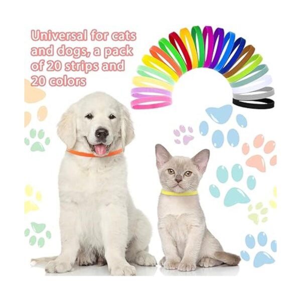 Frienda 60 collares para mascotas recién nacidas correas