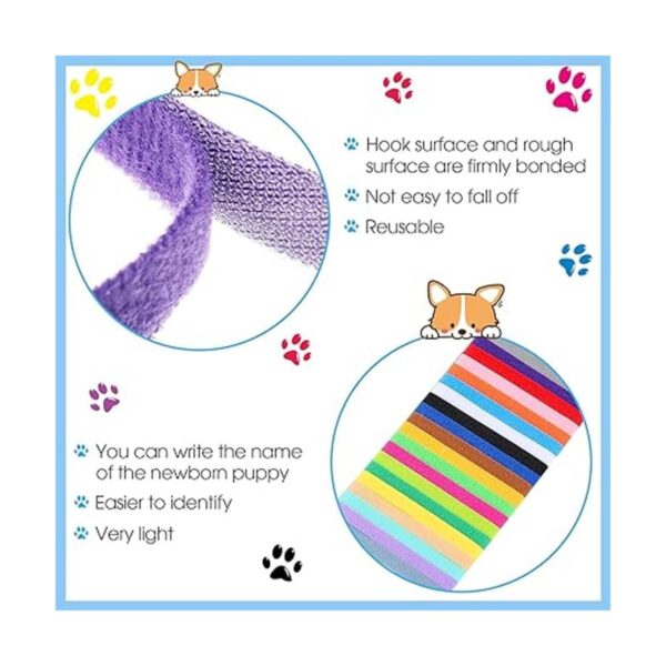 Frienda 60 collares para mascotas recién nacidas correas