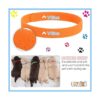 Frienda 60 collares para mascotas recién nacidas correas