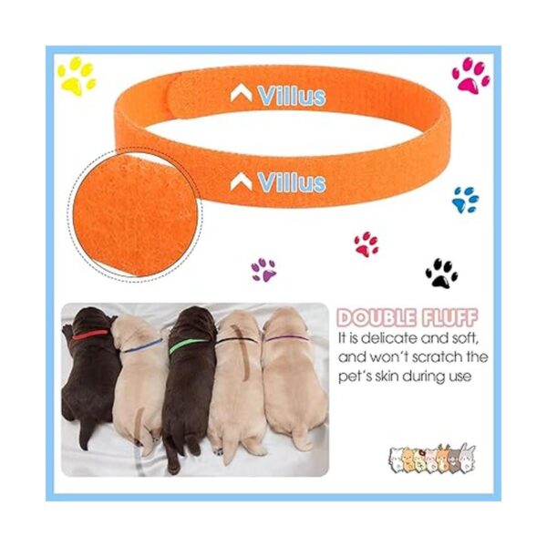 Frienda 60 collares para mascotas recién nacidas correas