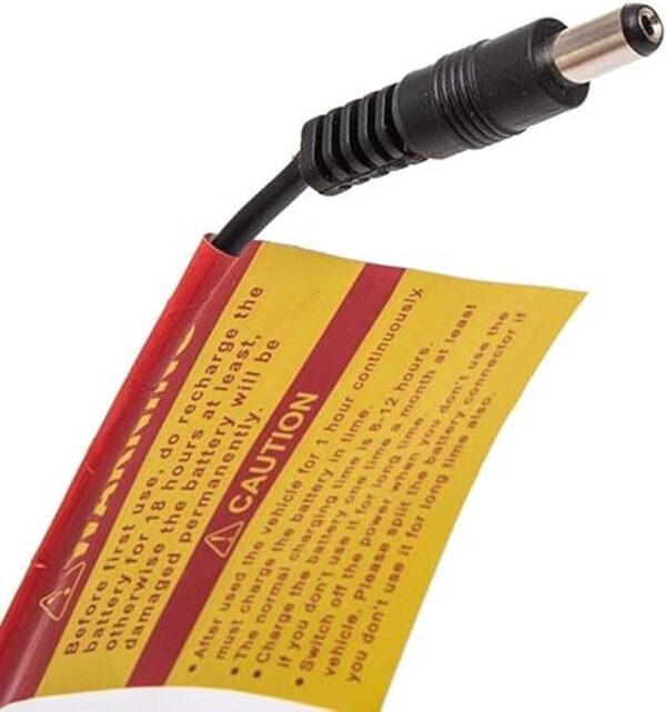 FULIHUA Cargador universal para coche eléctrico de 12 V_5