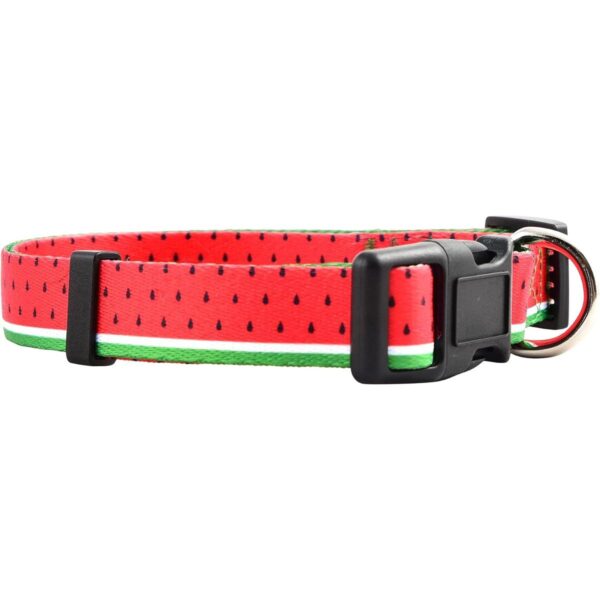 Native Pup Collar de perro con flores ajustable pequeño_1