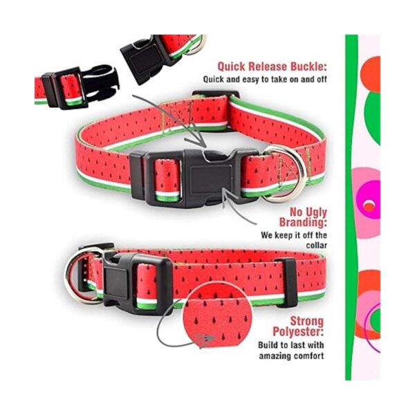 Native Pup Collar de perro con flores ajustable pequeño_4