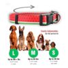 Native Pup Collar de perro con flores ajustable pequeño_3