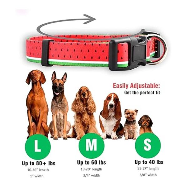 Native Pup Collar de perro con flores ajustable pequeño_3