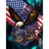 Kit de pintura de diamante 5D con águila y bandera para_1