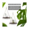 Estantes colgantes para pared y ventana para plantas de