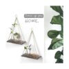 Estantes colgantes para pared y ventana para plantas de