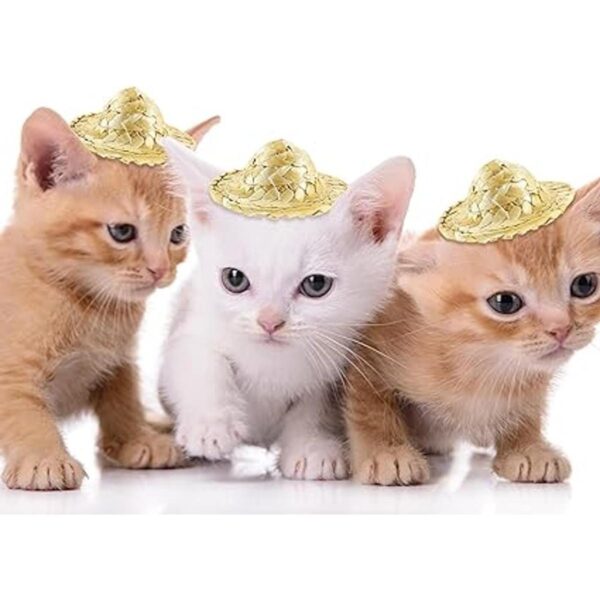 Mini sombreros de paja para manualidades mini sombrero_3