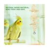GWHOLE 8 unids pájaro loro juguetes columpio masticación
