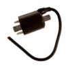 PARTSRUN EPIGC105 Bobina de encendido de calidad original_1
