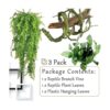 Hamiledyi Plantas de reptiles flexibles de selva_2