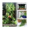 Hamiledyi Plantas de reptiles flexibles de selva_5