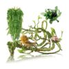 Hamiledyi Plantas de reptiles flexibles de selva_1