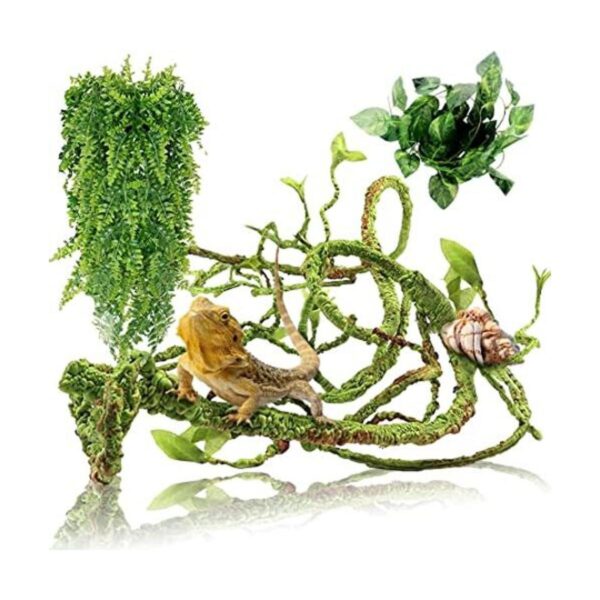 Hamiledyi Plantas de reptiles flexibles de selva_1