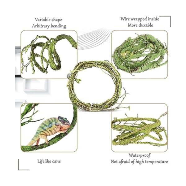 Hamiledyi Plantas de reptiles flexibles de selva_4