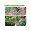 Gostur Juego de herramientas de jardín 3 piezas kit de_6