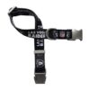 Littlearth NFL Las Vegas Raiders NFL Premium Pet Collar_1