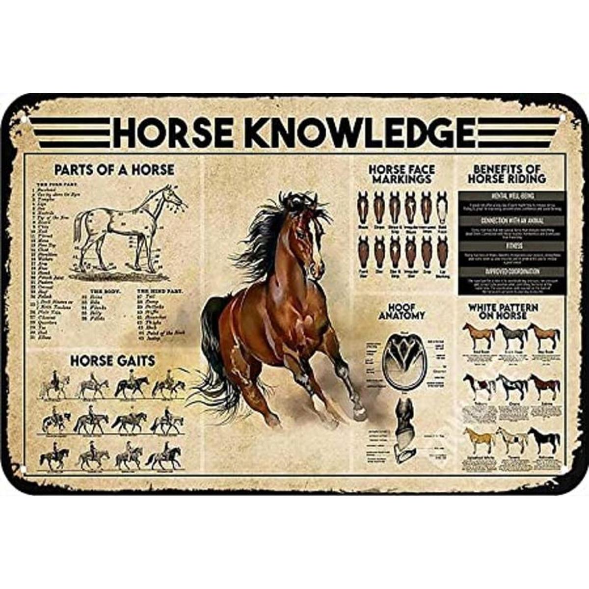 Horse Knowledge Cartel de lata de metal beneficios de