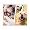 Mondotoy Juguetes masticables para perros juguetes_5