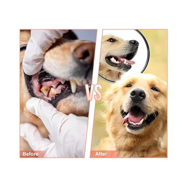 Mondotoy Juguetes masticables para perros juguetes_5