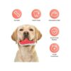 Mondotoy Juguetes masticables para perros juguetes_4