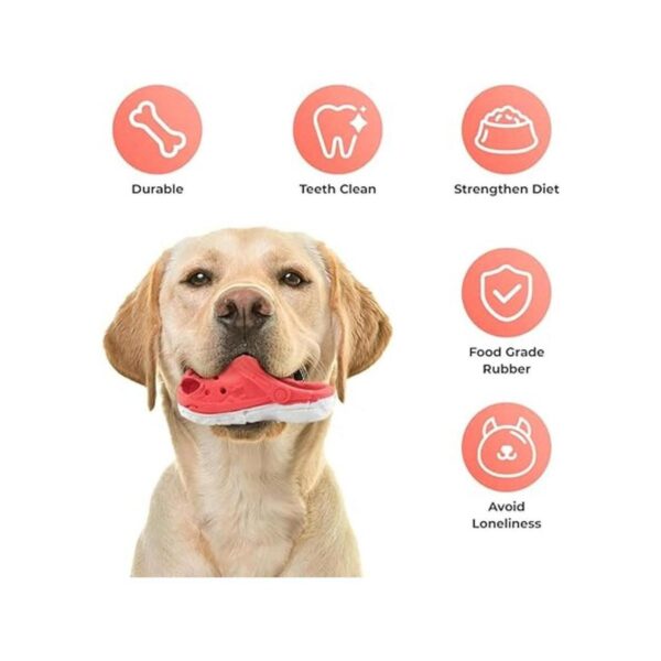 Mondotoy Juguetes masticables para perros juguetes_4