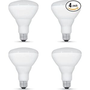 Feit Electric BR30 Bombilla LED BR30DM950CA4_1