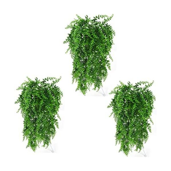 HERCOCCI Paquete de 3 plantas de reptiles plantas