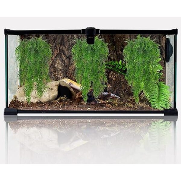 HERCOCCI Paquete de 3 plantas de reptiles plantas