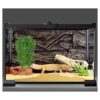 HERCOCCI Paquete de 3 plantas de reptiles plantas