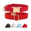 PET ARTIST Collar para perro con cuero suave y nailon_1