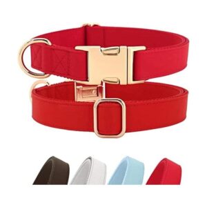 PET ARTIST Collar para perro con cuero suave y nailon_1
