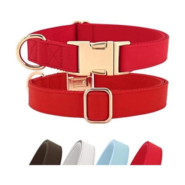 PET ARTIST Collar para perro con cuero suave y nailon_1