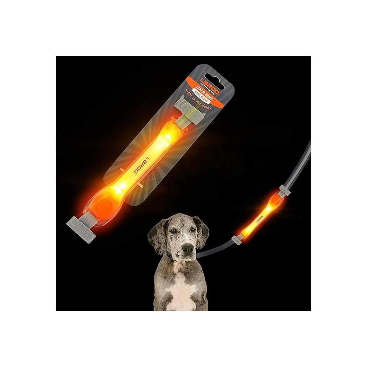 LaRoo Collar de perro iluminado con calcomanías de nailon