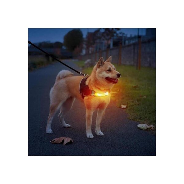 LaRoo Collar de perro iluminado con calcomanías de nailon_6