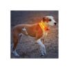 LaRoo Collar de perro iluminado con calcomanías de nailon_5