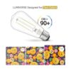 Lumiverse Bombillas LED Edison vintage E26 CRI 90_3