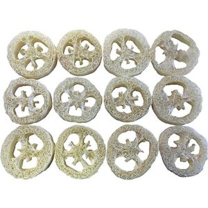 Lufa Luffa Premium rodajas rodajas de juego de 12 para_1