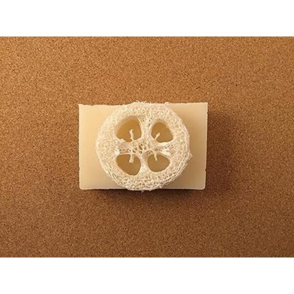 Lufa Luffa Premium rodajas rodajas de juego de 12 para_3