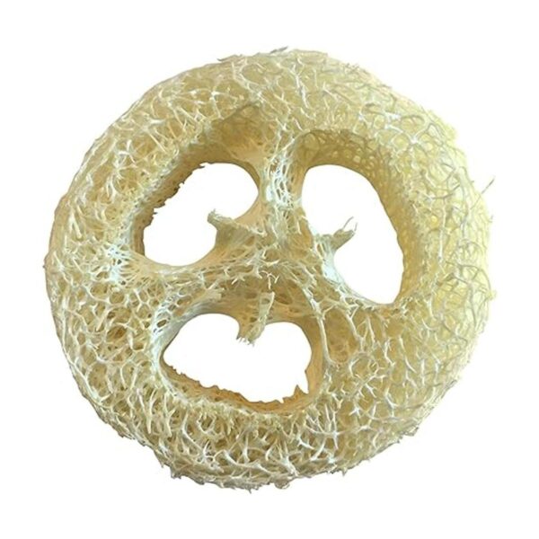 Lufa Luffa Premium rodajas rodajas de juego de 12 para_6