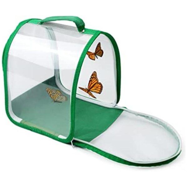 Hábitat de mariposa pequeña jaula de malla de insectos