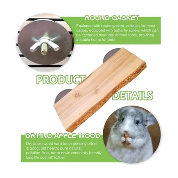 Chinchilla 2 piezas de madera natural plataforma de pie